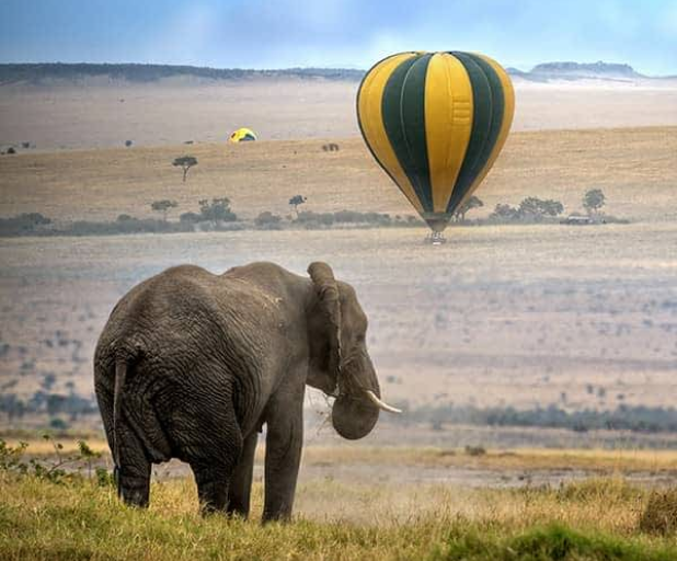 Hot-air balloon drifting low over the Mara at first light.